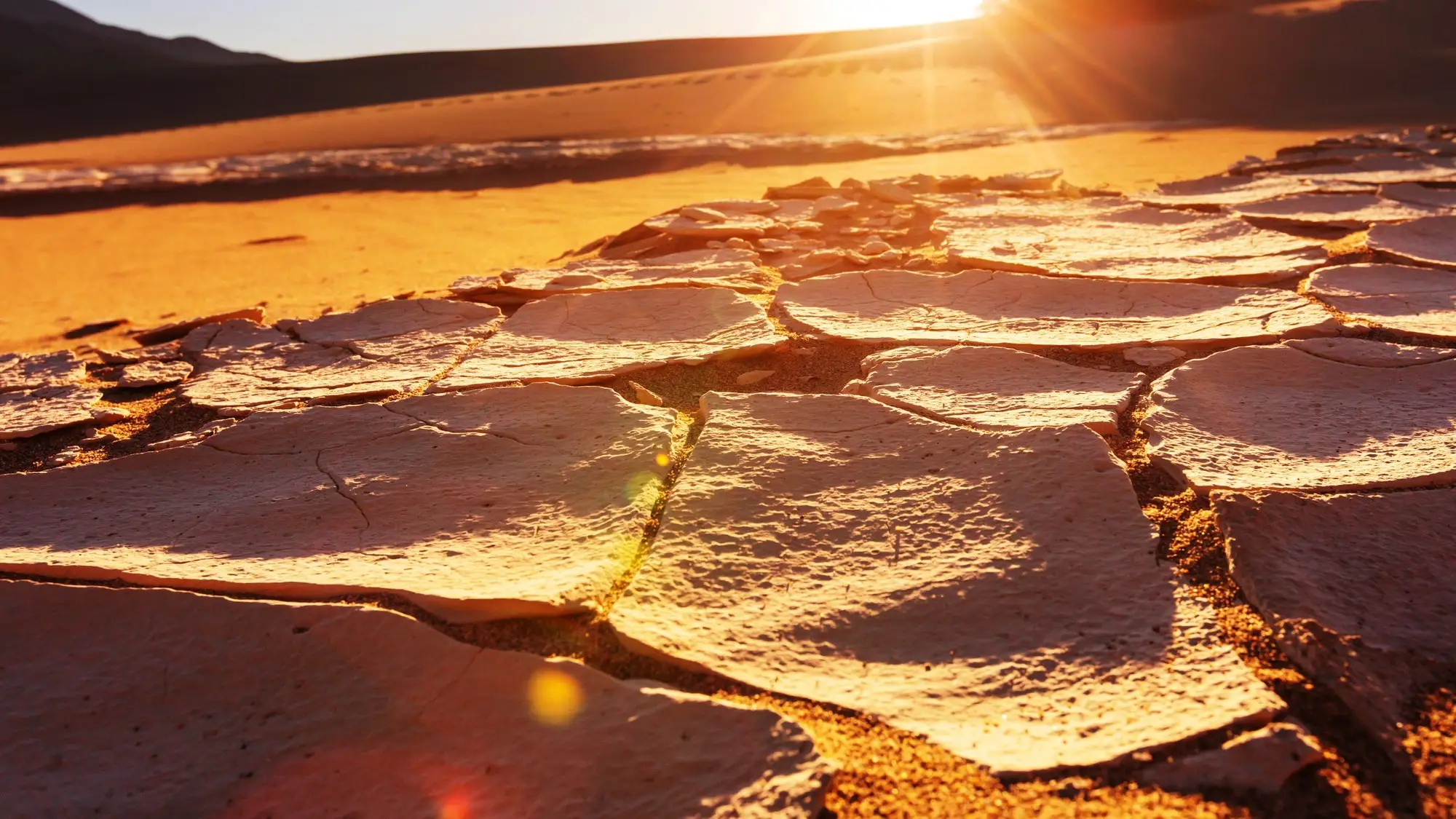 The Dead Sea