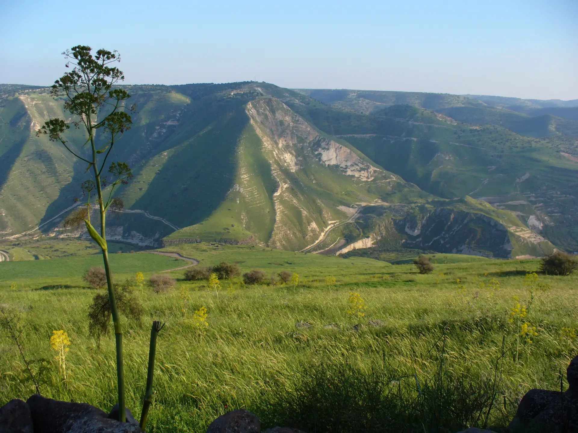 COLINAS GOLAN