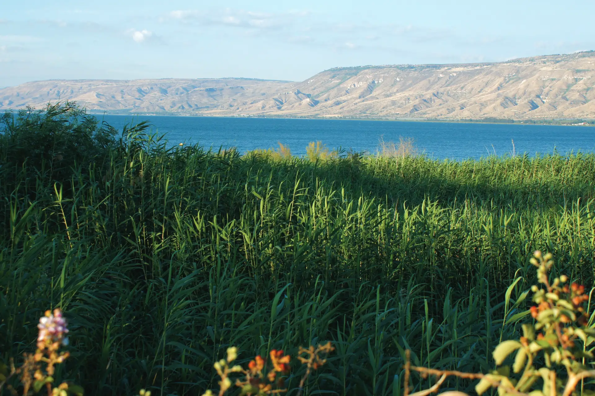 MAR DA GALILEA